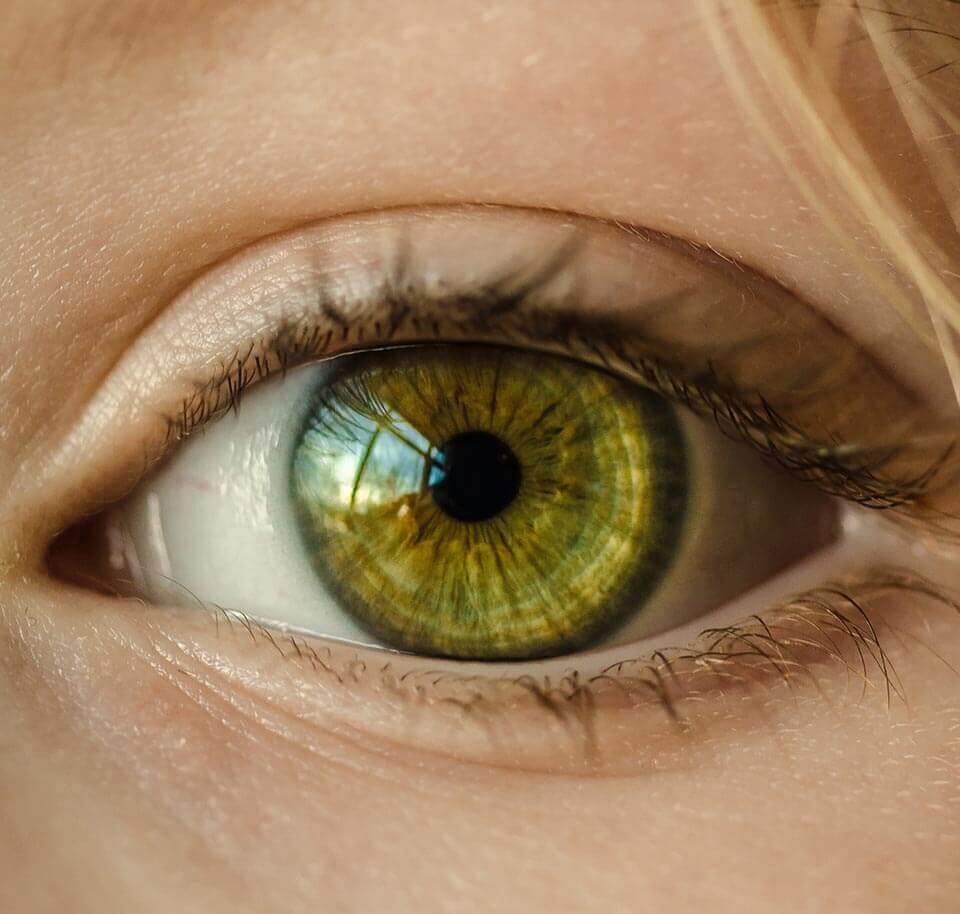 Augendiagnose - Physiotherapie Neidhardt